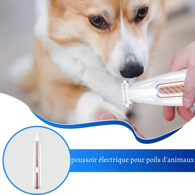 Petopia Tondeuse électrique pour animaux de compagnie avec éclairage LED