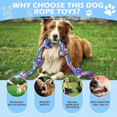 IntiMeg Seilspielzeug für Hunde XXL IntiMeg Seilspielzeug für Hunde XXL