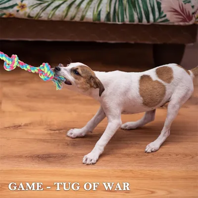 IntiMeg Seilspielzeug für Hunde XXL IntiMeg Seilspielzeug für Hunde XXL