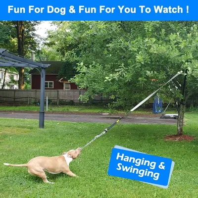 IntiMeg Elastisches Spielzeug für den Außenbereich für Hunde aller Größen