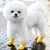 FurryFusion Regenstiefel für Hunde FurryFusion Regenstiefel für Hunde