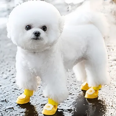 FurryFusion Regenstiefel für Hunde FurryFusion Regenstiefel für Hunde