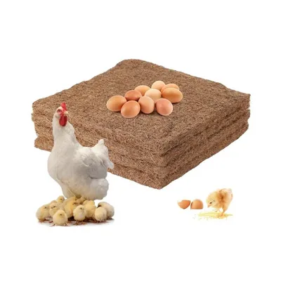 Zenpets Tapis pour nids de poules