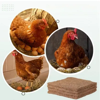 Zenpets Tapis pour nids de poules