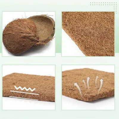 Zenpets Tapis pour nids de poules