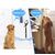UAMLY Cloche de dressage pour chats et chiens
