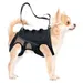 IntiMeg Harnais de levage pour chiens handicapés