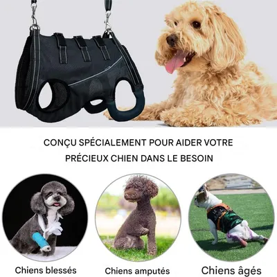 IntiMeg Harnais de levage pour chiens handicapés
