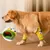 IntiMeg Protections pour pattes de chien de moyenne et grande taille