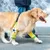 IntiMeg Protections pour pattes de chien de moyenne et grande taille