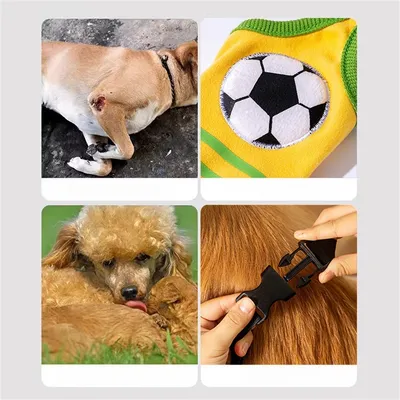 IntiMeg Protections pour pattes de chien de moyenne et grande taille