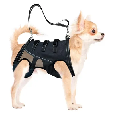 IntiMeg Arnés de elevación para perros discapacitados