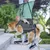 IntiMeg Harnais de levage pour chiens handicapés