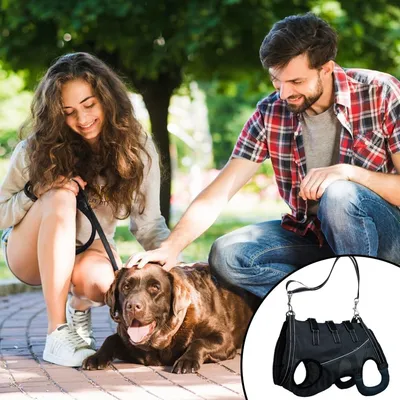 IntiMeg Harnais de levage pour chiens handicapés
