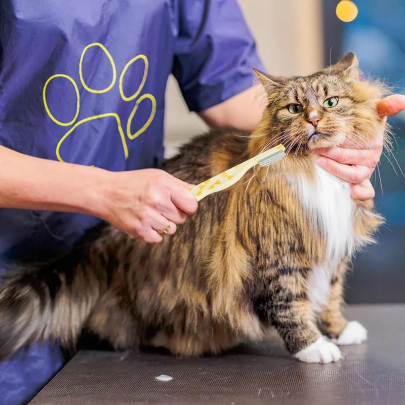 Petopia Peigne de toilettage pour animaux de compagnie