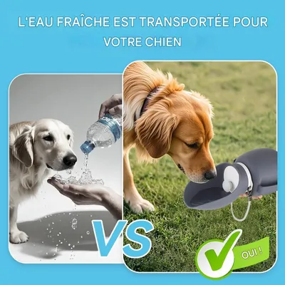ZenPets Bouteille d'eau pliable pour chien