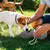 ZenPets Bouteille d'eau pliable pour chien
