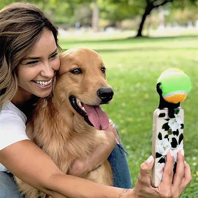 IntiMeg Boule de téléphone portable pour attirer l'attention des chiens
