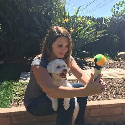 IntiMeg Boule de téléphone portable pour attirer l'attention des chiens