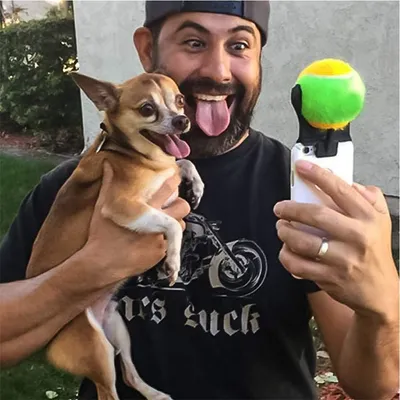 IntiMeg Boule de téléphone portable pour attirer l'attention des chiens