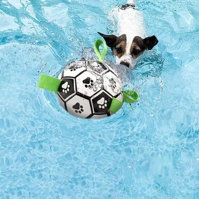 UAMLY Jouet de football pour chien