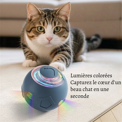 Petopia Balle interactive pour chien et chat