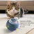 Petopia Balle interactive pour chien et chat