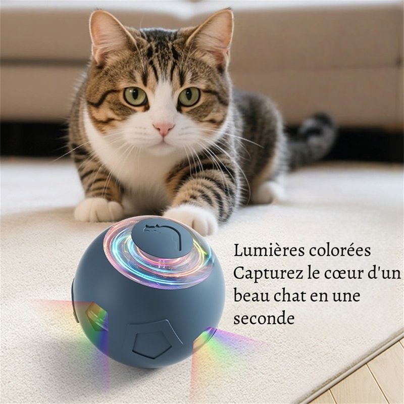 Petopia Balle interactive pour chien et chat