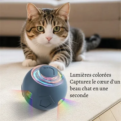 Petopia Balle interactive pour chien et chat