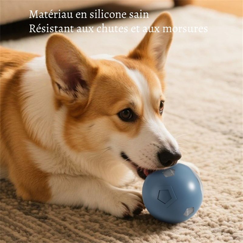 Petopia Balle interactive pour chien et chat