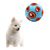 UAMLY Balle en caoutchouc pour chien avec clochette