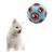 UAMLY Balle en caoutchouc pour chien avec clochette