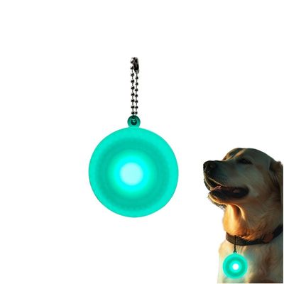 Petopia Lumière LED pour collier de chien