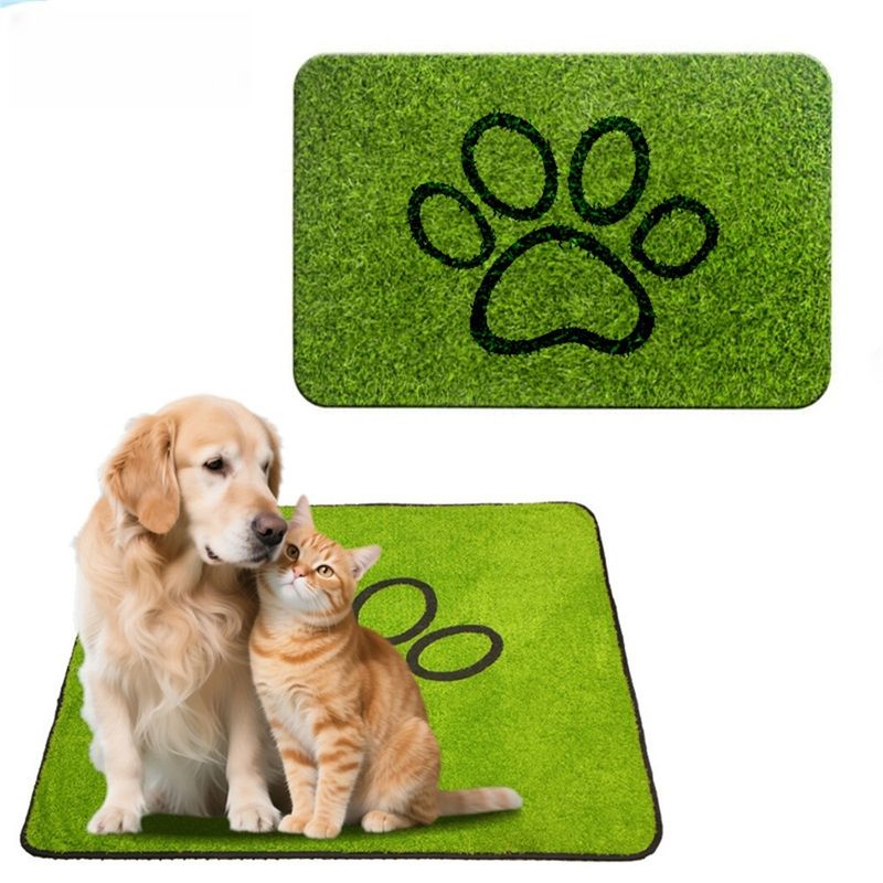IntiMeg Tapis d'entretien des sols