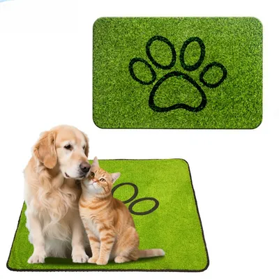 IntiMeg Tapis d'entretien des sols