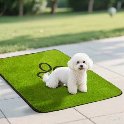 IntiMeg Tapis d'entretien des sols