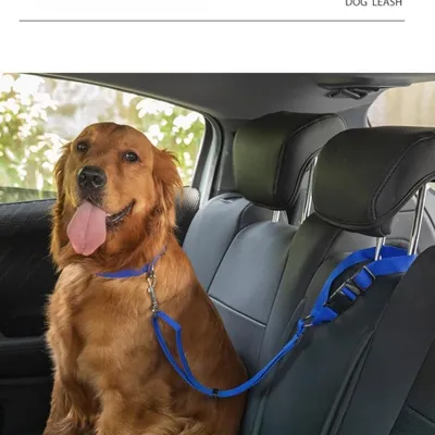 Petopia Laisse de sécurité pour appuie-tête de voiture pour chat et chien