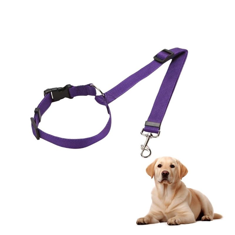 Petopia Laisse de sécurité pour appuie-tête de voiture pour chat et chien