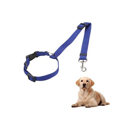 Petopia Laisse de sécurité pour appuie-tête de voiture pour chat et chien