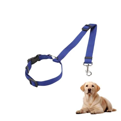 Petopia Laisse de sécurité pour appuie-tête de voiture pour chat et chien Petopia Laisse de sécurité pour appuie-tête de voiture pour chat et chien