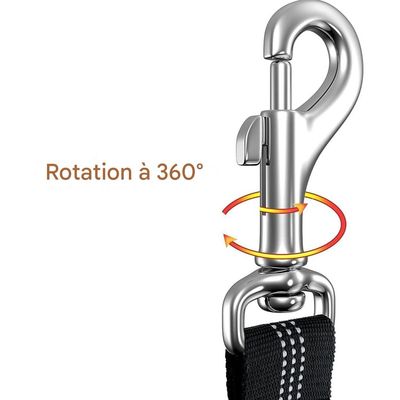 IntiMeg Ceinture Chien Voiture Trois en Un