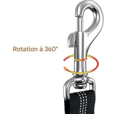 IntiMeg Ceinture Chien Voiture Trois en Un