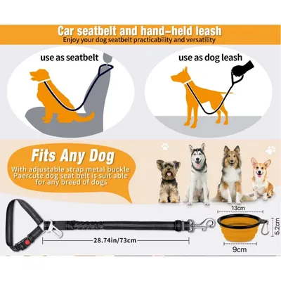 IntiMeg Ceinture Chien Voiture Trois en Un
