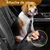 IntiMeg Ceinture Chien Voiture Trois en Un