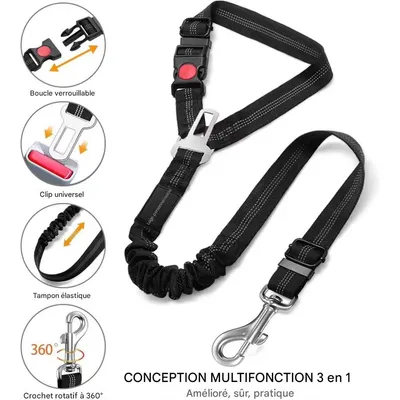 IntiMeg Ceinture Chien Voiture Trois en Un