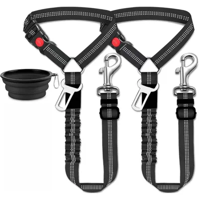 IntiMeg Ceinture Chien Voiture Trois en Un