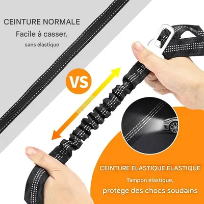 IntiMeg Ceinture Chien Voiture Trois en Un