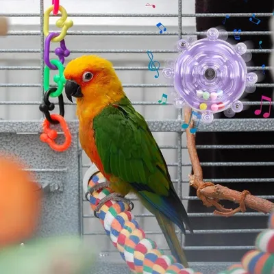 Zenpets Jouet en forme de roue pour oiseaux