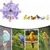 Zenpets Jouet en forme de roue pour oiseaux