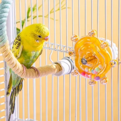 Zenpets Jouet en forme de roue pour oiseaux